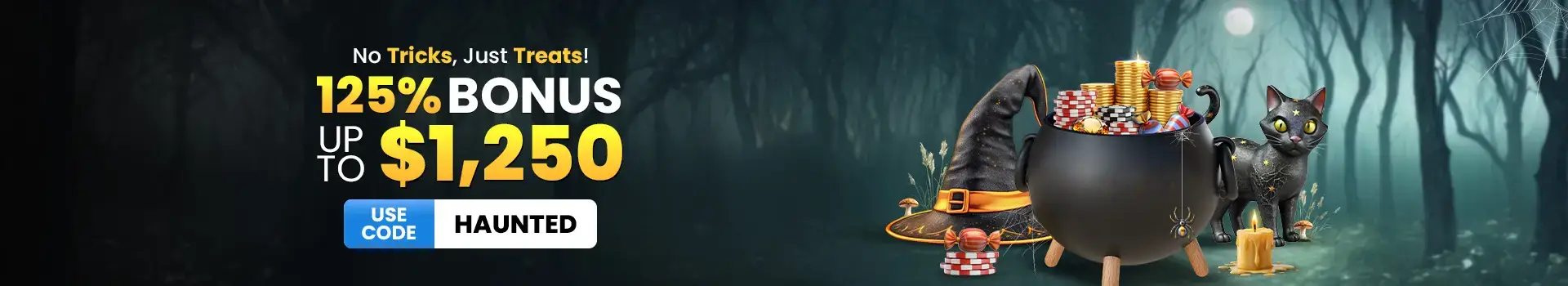 banner2